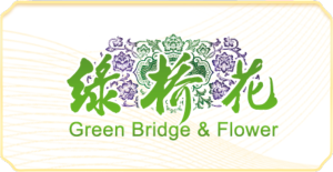 绿桥花